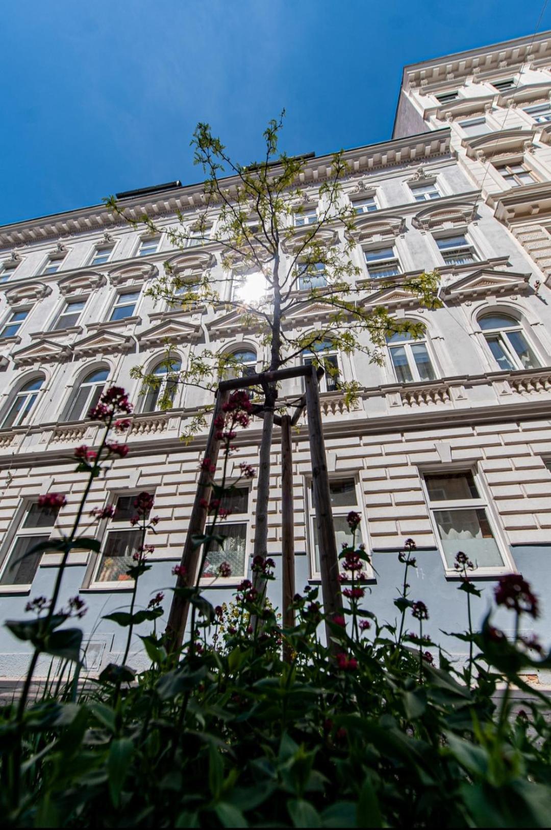 Vienna My City Apartment 1 Bedroom Viena Exterior foto