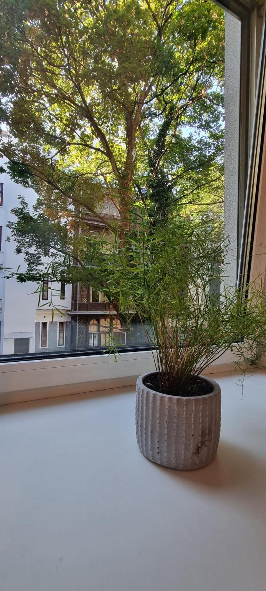 Vienna My City Apartment 1 Bedroom Viena Exterior foto